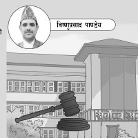 निजामती विधेयकका अन्तर्वस्तु