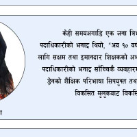 निजामती विधेयकका अन्तर्वस्तु
