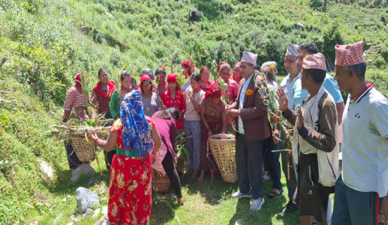 झाडी फाँडेर घाँस खेती, घरघरमा बाख्रापालन