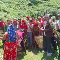 चितुवाको आक्रमणबाट १२ जनाको मृत्यु, अझै रोकिएन बन्दीपुरमा आतङ्क