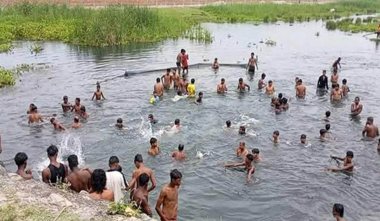 गर्मी छल्न कोशी कटान क्षेत्रमा नुहाउनेको भीड