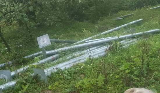 ताराखोलाका टोलटोलमा उद्यमी