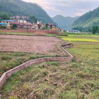 धनगढी आठको वडा अध्यक्षमा चौधरी विजयी