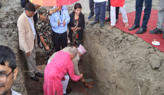 सार्वजनिक स्थानमा गमलासहितको फूल राखिँदै