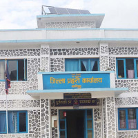 सार्वजनिक स्थानमा गमलासहितको फूल राखिँदै