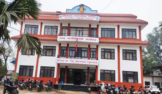 निःशुल्क स्नातक तहको पढाइ