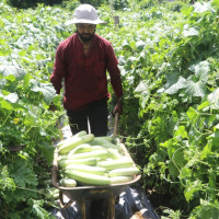 भक्तपुरमा दिदीबहिनी मृतावस्थामा फेला