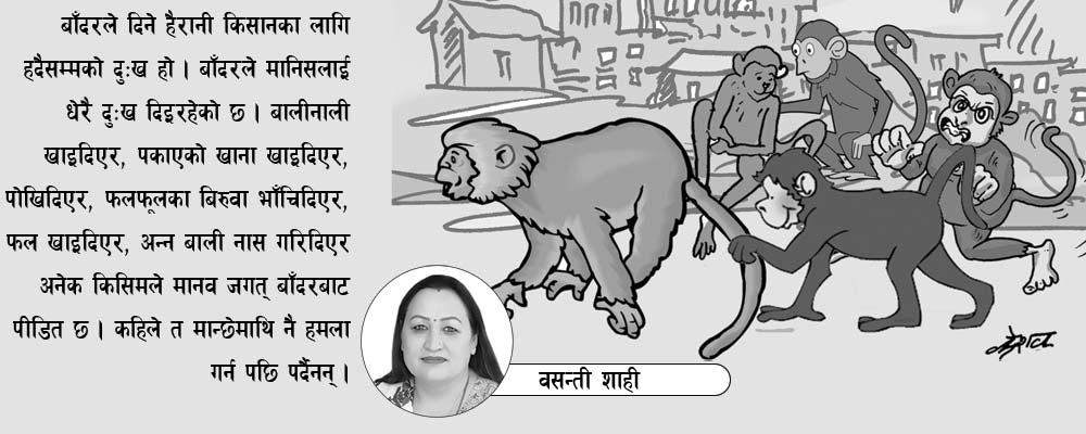खोजौँ बाँदर नियन्त्रणका उपाय
