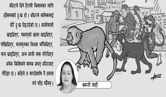 खोजौँ बाँदर नियन्त्रणका उपाय