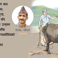 विद्युत् प्राधिकरणकाे कार्यकारी निर्देशकमा शाक्य नियुक्त