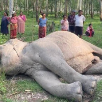 भारत र बङ्गलादेश क्रिकेट खेल शृङ्खला स्थगित