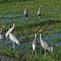 दर्ता नगरी सञ्चालित क्लिनिक बन्द