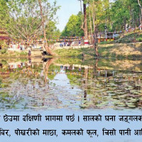 म्याग्दीमा सडक र पुल तर्फका ३३ वटा योजना सम्पन्न