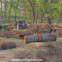 वर्षा अगावै सडकको दुर्दशा