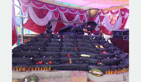 एउटै ढुङ्गामा १०८ शिवलिङ्ग र नागसहितको मूर्ति