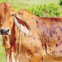 सरकार जनताको साथमा छ: प्रधानमन्त्री ओली