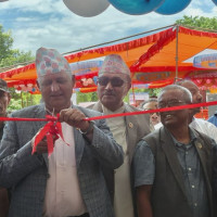 राजनीतिक आडमा पाँच सय हेक्टर वन अतिक्रमण