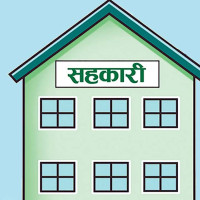 वैदेशिक व्यापारमा सुधार