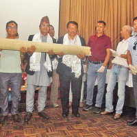 चौँरी तथा याक प्रदर्शन गर्दै सिरिजङ्घा