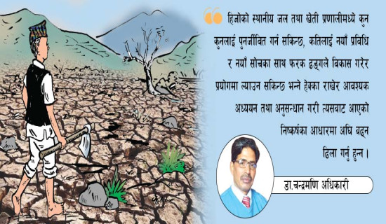 निजामती सेवाको गन्तव्य