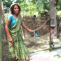 गाई फार्ममा आगलागी हुँदा धनजनको क्षति