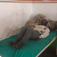 गाई फार्ममा आगलागी हुँदा धनजनको क्षति