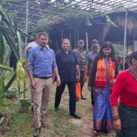 अनुदानका लागि शुरु गरिएका फर्म अलपत्र