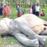 गुल्मीमा काँग्रेस ५, माओवादी ४ र एमालेलाई ३ प्रमुख