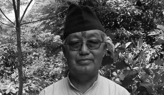 बालमन्दिरको २८ रोपनी जग्गा दुरुपयोग, २० जनाविरुद्ध पक्राउ पुर्जी