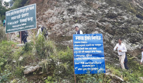 कृषि सिकाइको पाठशाला बन्दै ‘माया इको भिलेज एकीकृत कृषि फार्म’