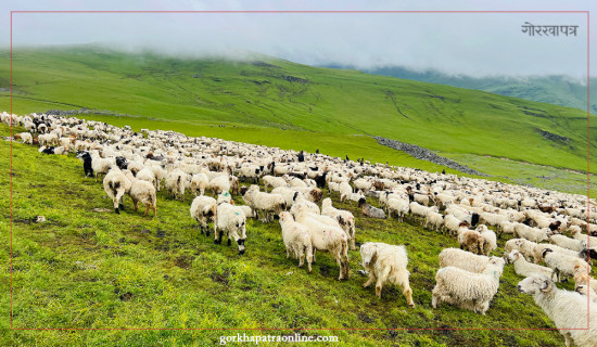 कुष्ठरोगीको आशङ्कामा छ वर्ष छाउगोठमा बिताउनु परेपछि ...