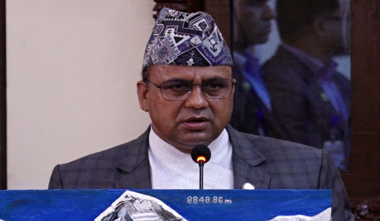 वीपीको परिकल्पना समृद्ध राष्ट्र निर्माण नै हो : मन्त्री पाण्डे