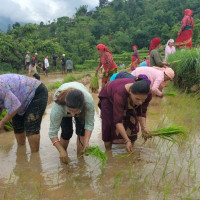 कला र सम्पदामैत्री नगर
