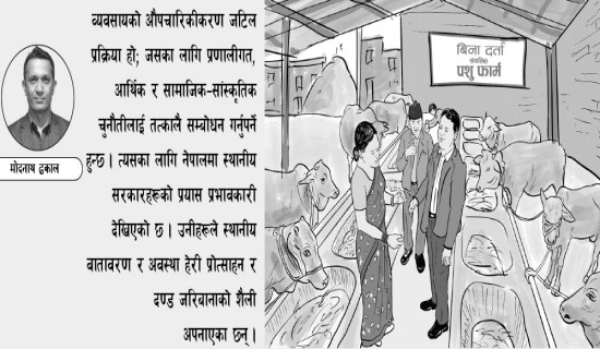 व्यवसायको औपचारिकीकरण जटिल