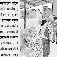 बहसमा सार्कको भविष्य