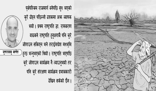 बहसमा सार्कको भविष्य