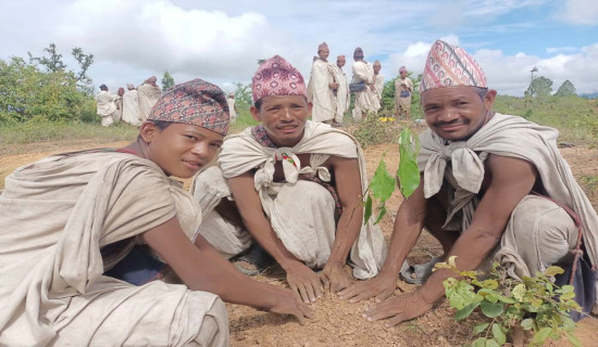 राउटे समुदायद्वारा वृक्षरोपण