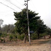 कास्कीमा पहिरोले घर भत्किँदा दुई जनाको मृत्यु