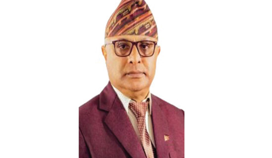 नाटकमय पोखरा