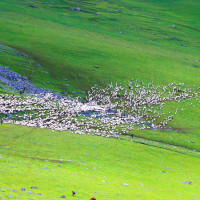 दुर्घटनमा मोटरसाइकल सवार दुईजनाको मृत्यु