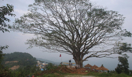 मोरङमा निरन्तर वर्षाः उद्धारमा सुरक्षा संयन्त्र परिचालन