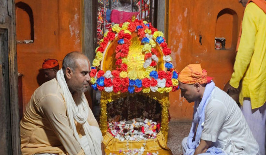 मिथिलामा ‘झुला’ पर्व सुरु