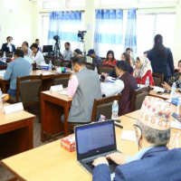 परिवार व्यवस्थापन, यौन तथा प्रजनन स्वास्थ्यमा लगानी बढाउन माग