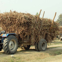 विमान दुर्घटनामा एकै परिवारका सात जनाको मृत्यु, लोटा गाउँ शोकमग्न