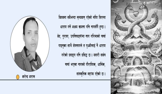 नागपूजाको सांस्कृतिक महत्व