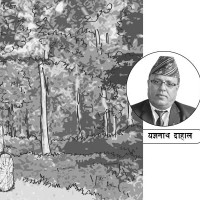 मधेशमा भयो वर्षा, किसान हर्षित