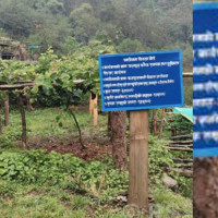 बुटवल–नारायणगढ दाउन्ने सडकः एक वर्षमै ६३ पटक बन्द