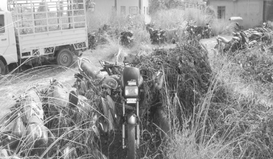 भन्सारमै कबाड बने सवारीसाधन