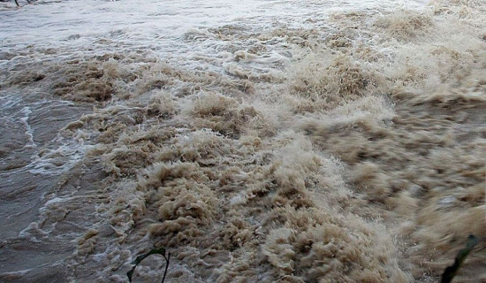 मुगुमा सुपथ मूल्यमा चामल बिक्री हुने