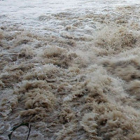 साहित्यकार मोती शोभा  श्रेष्ठका चार कृति लोकार्पण